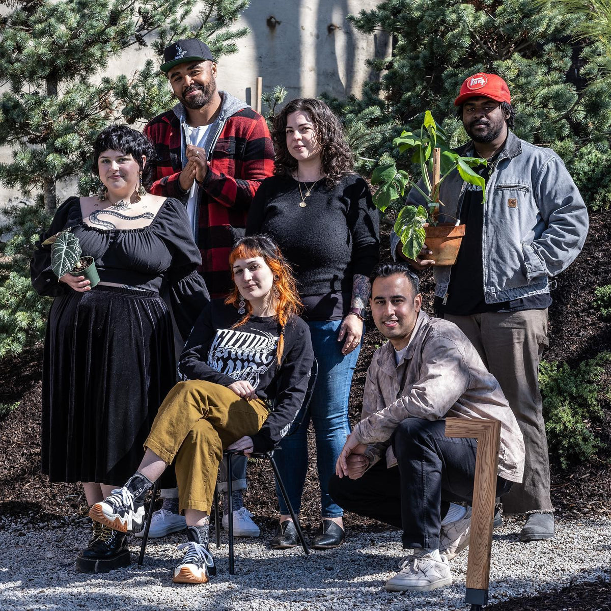 introducing green neighbor
