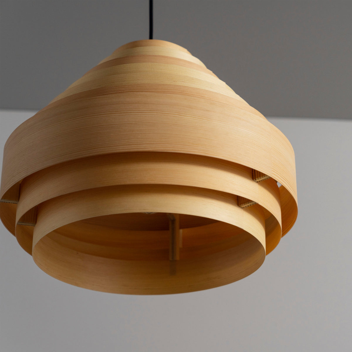 1001 Hans Pendant 38