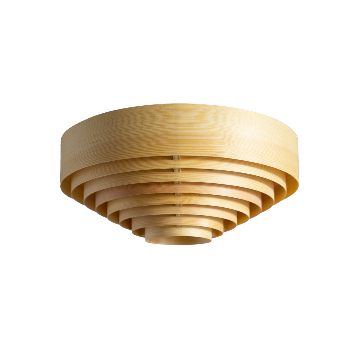 1005 Hans Ceiling Light