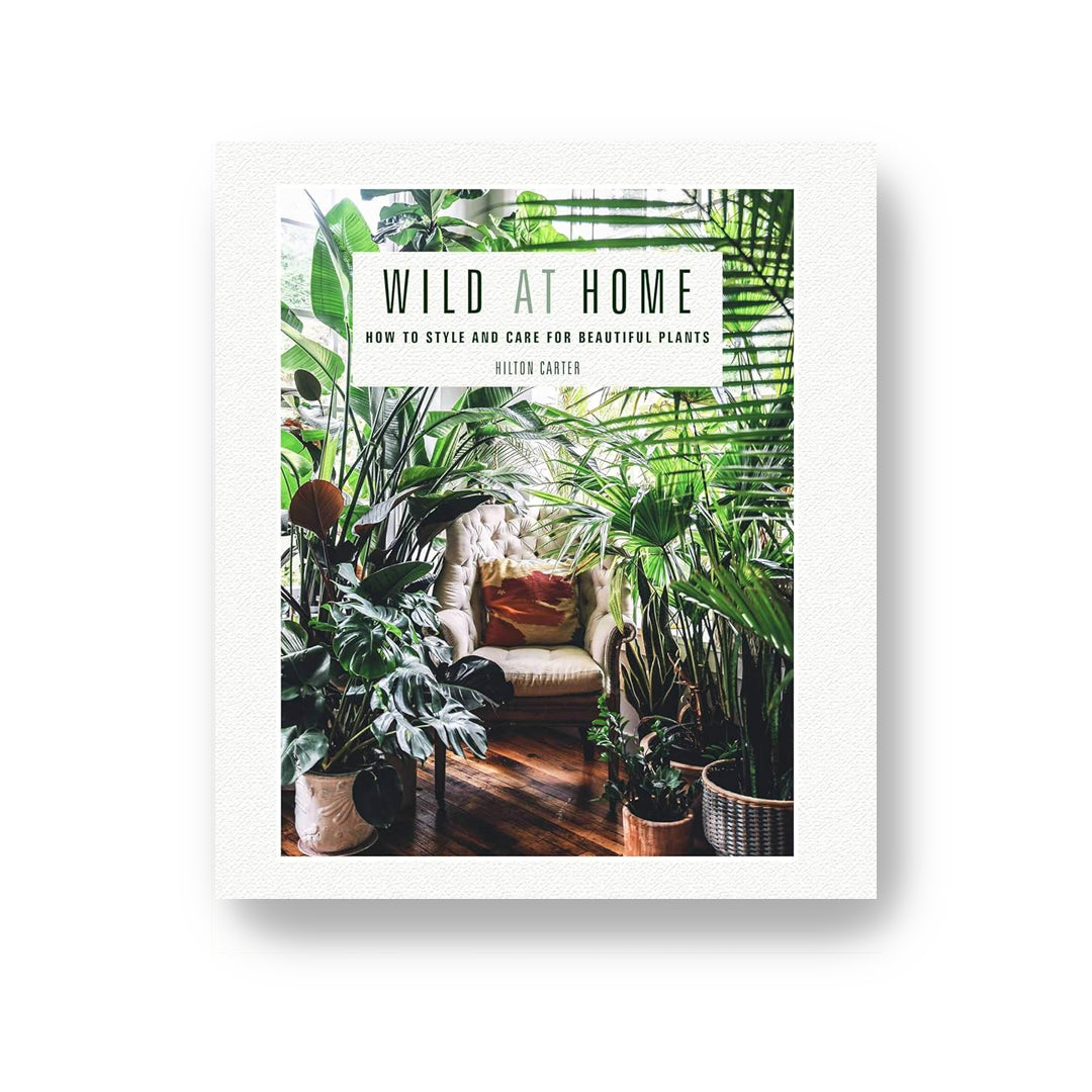 Wild At Home: How to Style and Care for Beautiful Plants by Hilton Carter