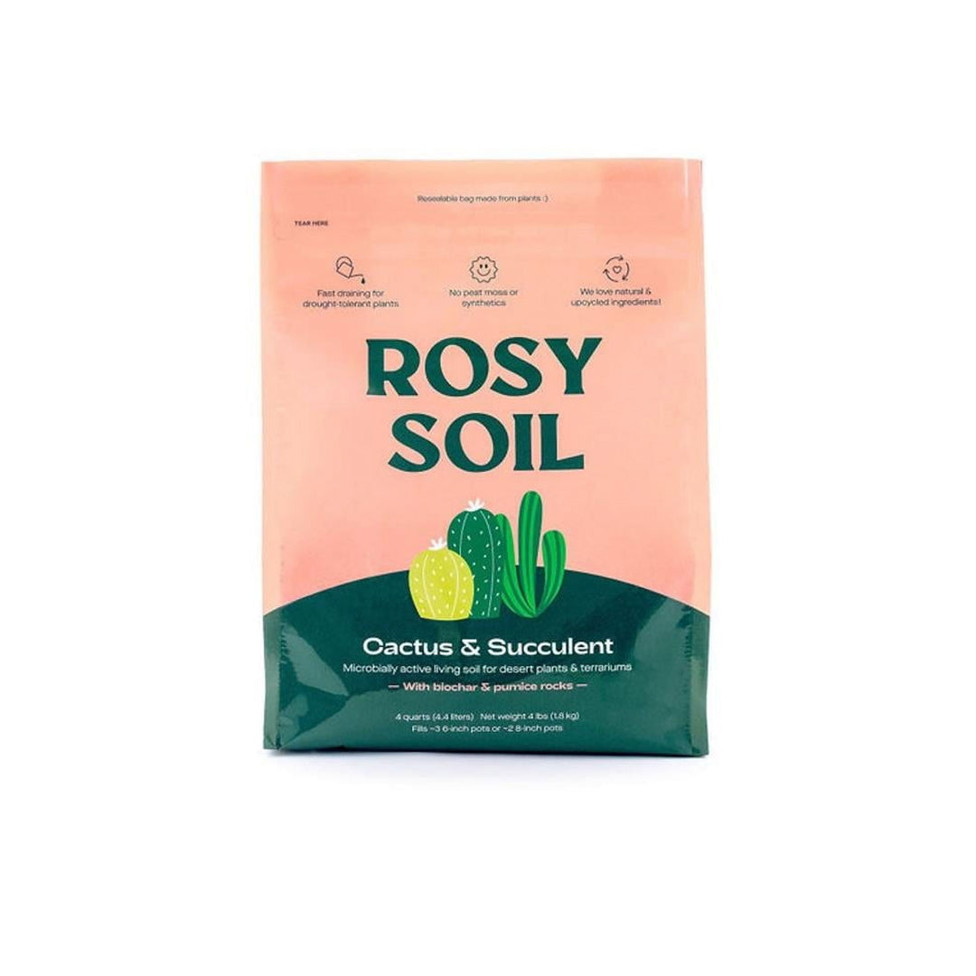 Organic Cactus and Succulent Mix