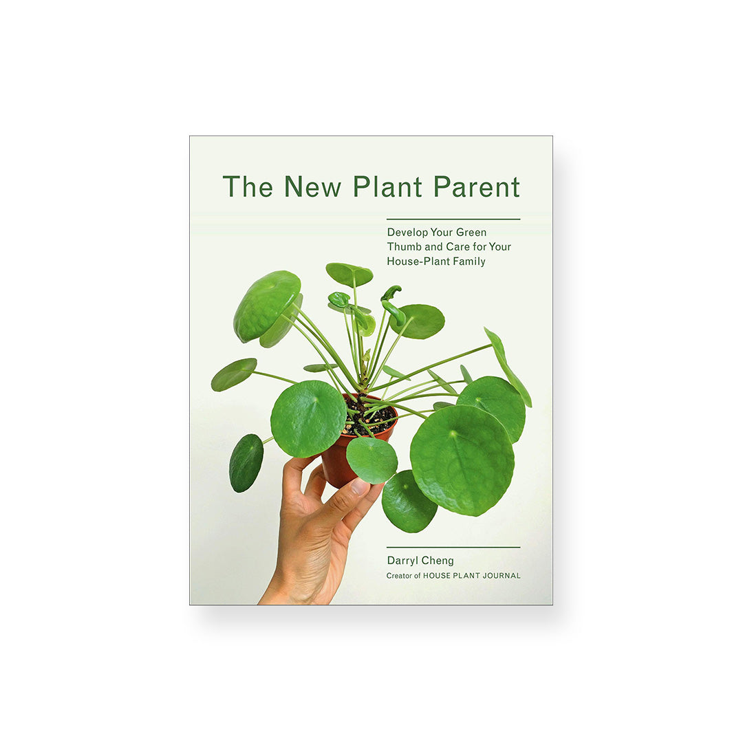 New Plant Parent: Develop Your Green Thumb | Darryl Cheng
